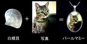 pmFormula.jpg
