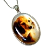 pet-015.jpg